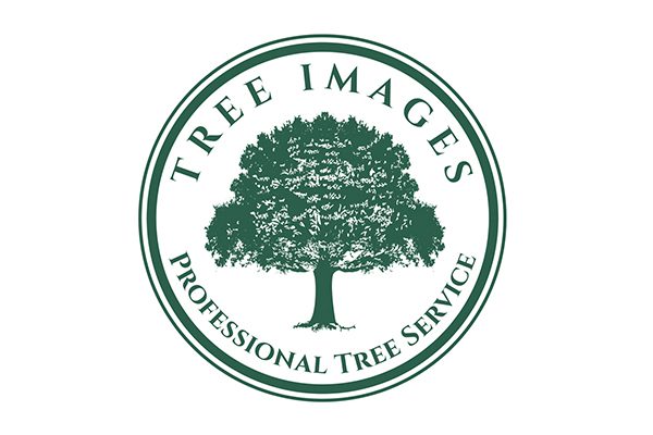 Tree Images Logo
